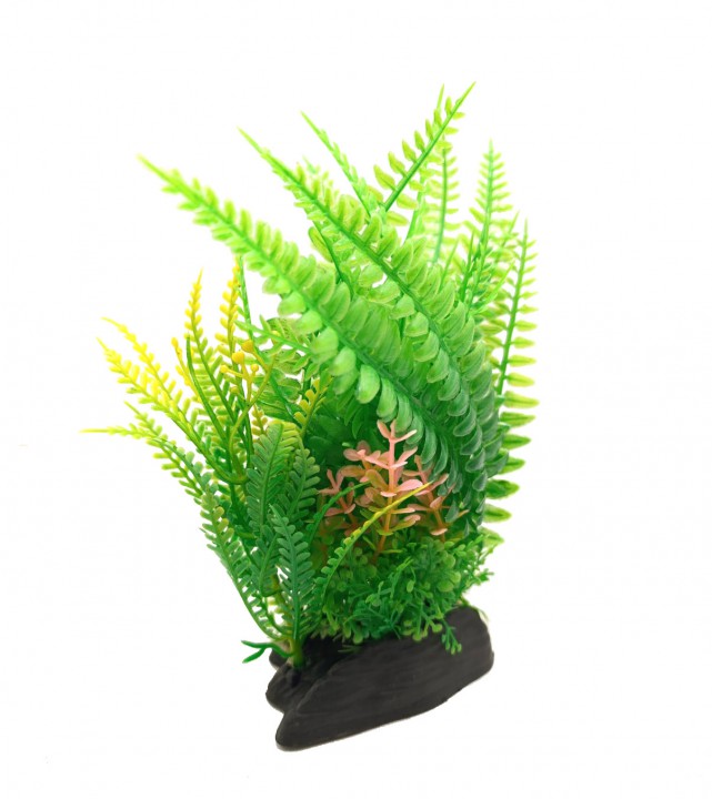 Рослина, 8х5х18 см